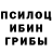 Галлюциногенные грибы GOLDEN TEACHER perchik me
