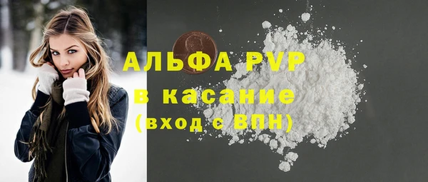 PSILOCYBIN Белокуриха
