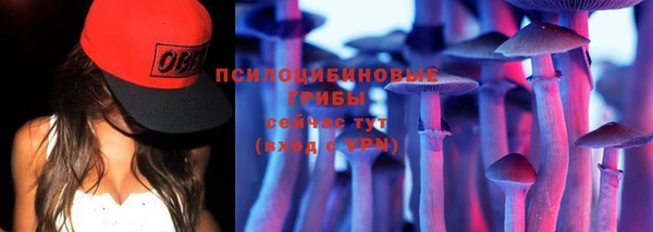 гашик Баксан
