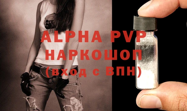 PSILOCYBIN Белокуриха