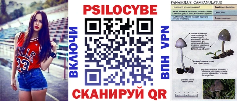 Псилоцибиновые грибы мухоморы  как найти закладки  блэк спрут сайт  Кологрив 